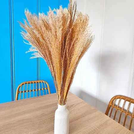 アパート Muszelka プツク