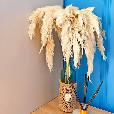 公寓 Muszelka 帕克