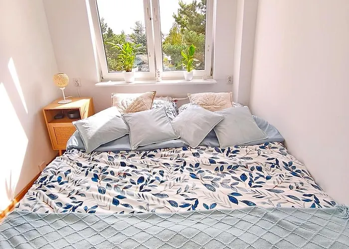 Muszelka Apartament *