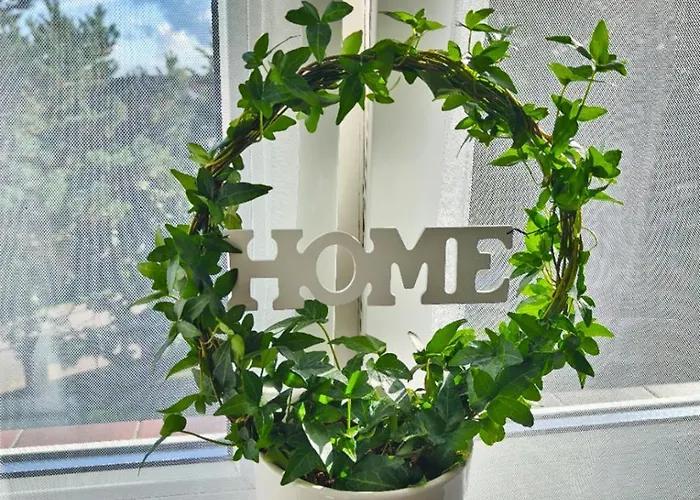 Apartament Muszelka *